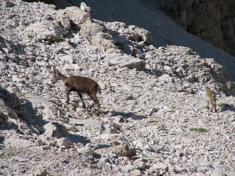 img00307.jpg