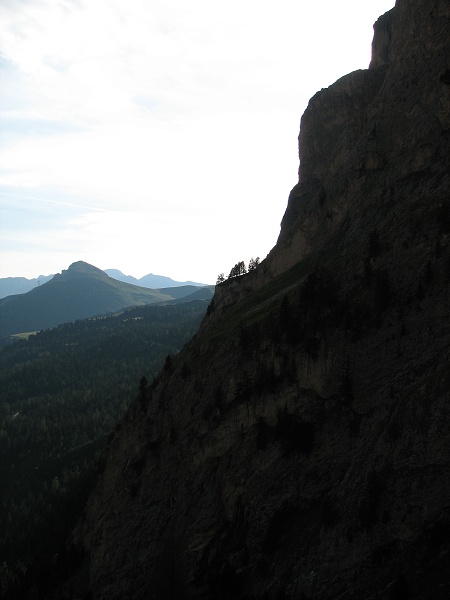 img00346.jpg