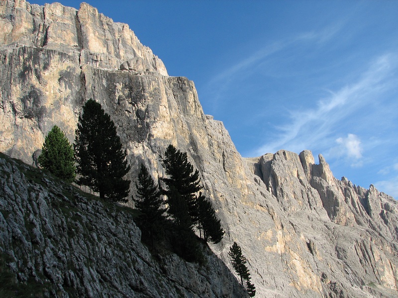 img00349.jpg