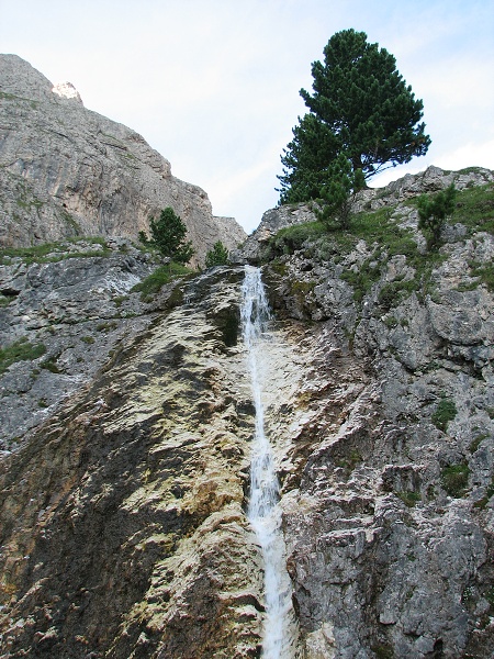 img00354.jpg