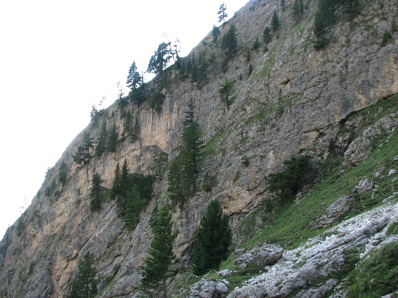 img00355.jpg