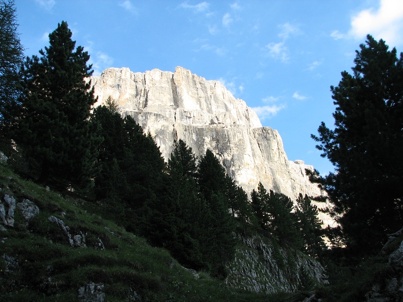 img00356.jpg