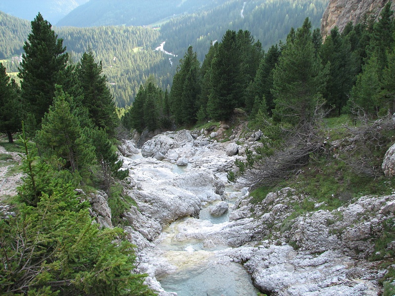 img00357.jpg