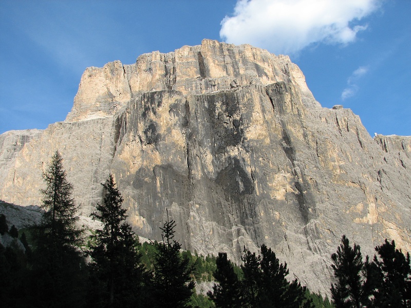img00361.jpg