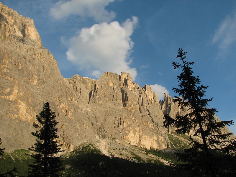 img00365.jpg