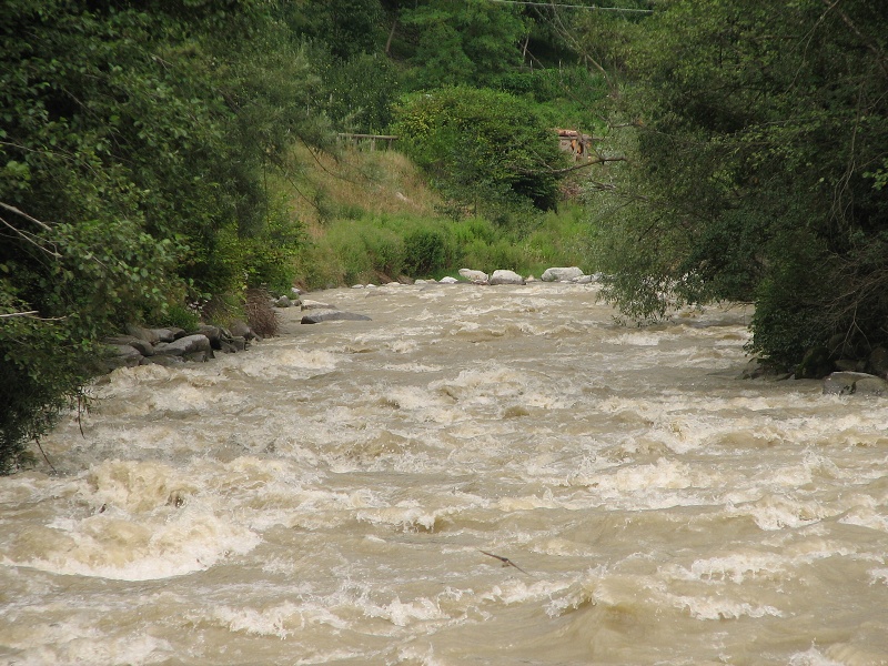 img00447.jpg
