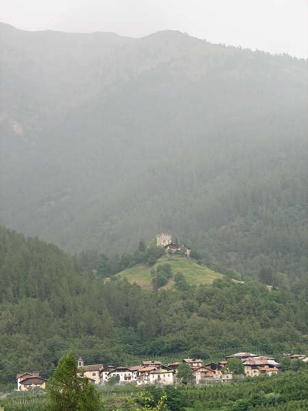 img00450.jpg