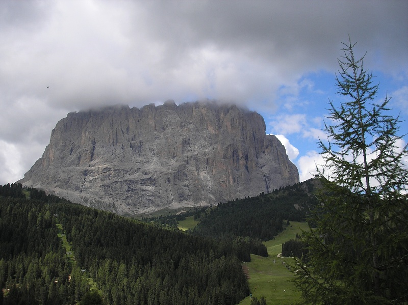 img00463.jpg