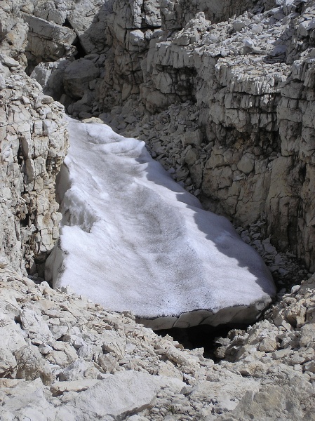 img00482.jpg
