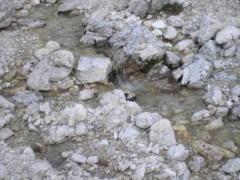 img00484.jpg