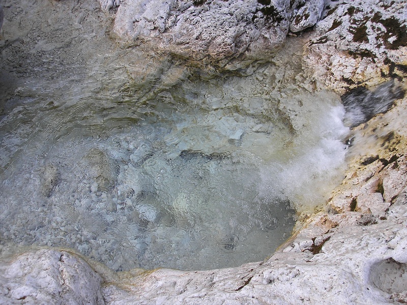 img00485.jpg